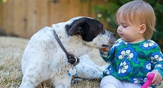 Resultado de imagem para foto bebe e cachorro