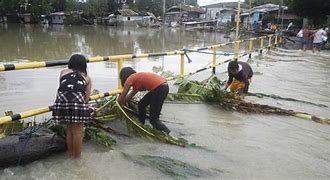 Resultado de imagem para Cidades que Afundam: A Crise Silenciosa que Ameaça Milhões ao Redor do Mundo