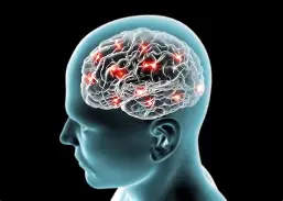 Resultado de imagem para O Cérebro na Morte: Estudo Inédito Mostra Atividade Neural Intensa nos Últimos Segundos de Vida