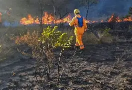 Resultado de imagem para Produtores Rurais se Mobilizam para o Inverno com Ações Contra Incêndios em Minas Gerais