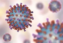 Resultado de imagem para Infecções por Vírus Respiratórios Podem Reativar Células Cancerígenas Dormentes