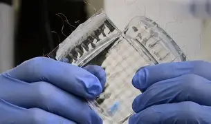 Resultado de imagem para UFU e universidade italiana criam pele artificial sensível ao toque humano e revolucionam próteses e robótica