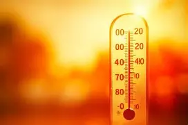 Resultado de imagem para Cérebros em alta temperatura: os impactos do calor e das ondas de calor na memória, no humor e na tomada de decisões humanas